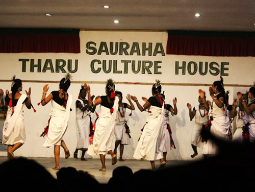 The Tharu Culture Program